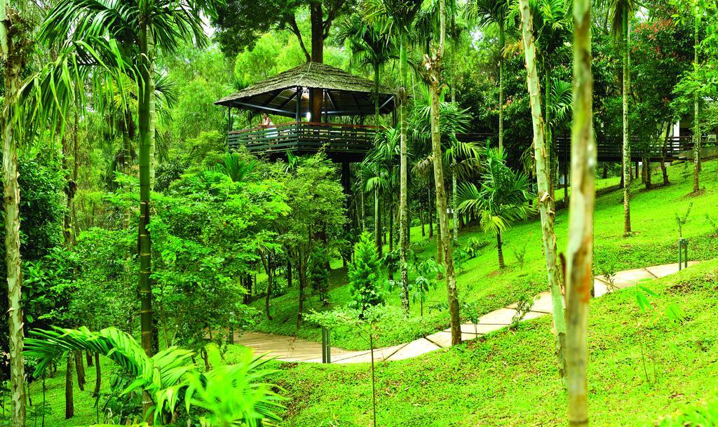 The Woods Resorts Wayanad Sultan Bathery Luaran gambar