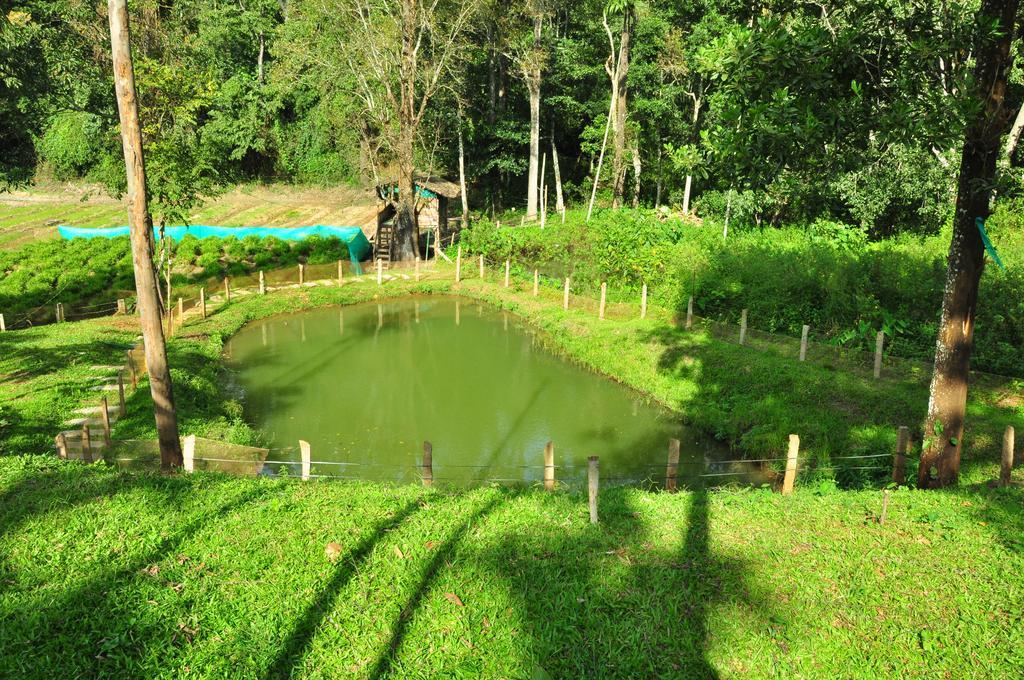 The Woods Resorts Wayanad Sultan Bathery Luaran gambar
