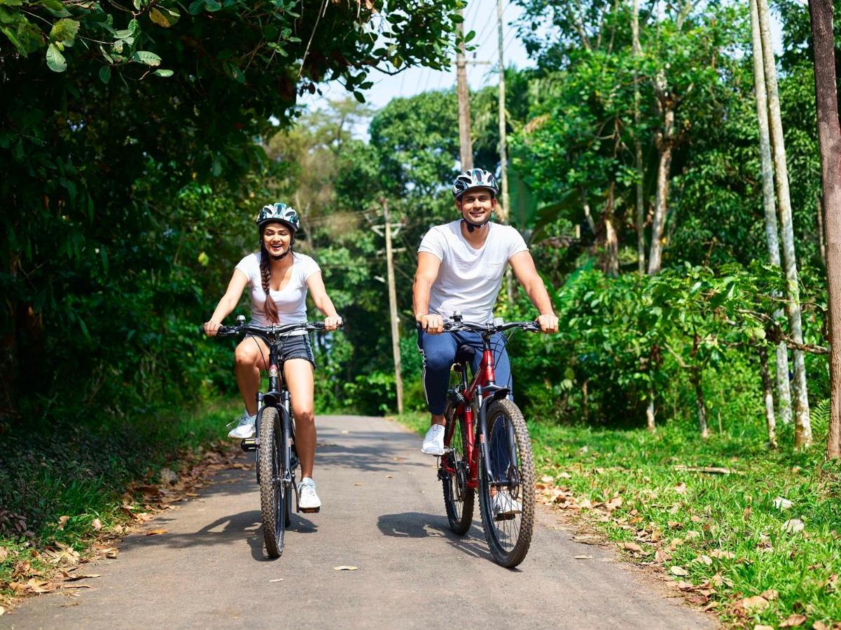 The Woods Resorts Wayanad Sultan Bathery Luaran gambar