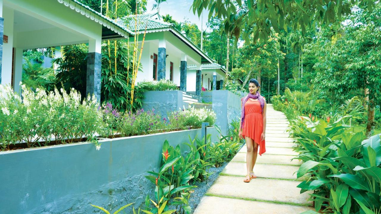 The Woods Resorts Wayanad Sultan Bathery Luaran gambar