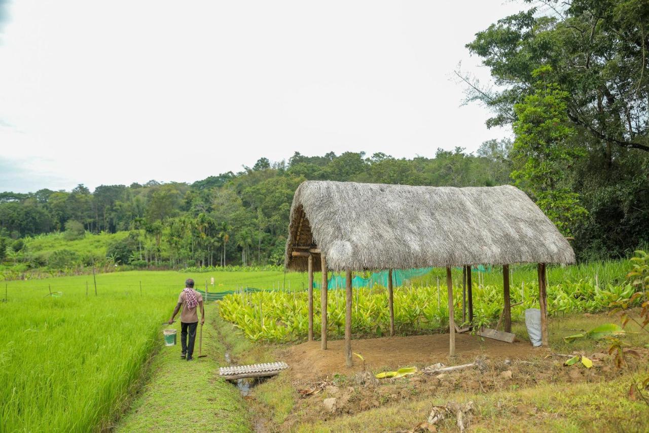 The Woods Resorts Wayanad Sultan Bathery Luaran gambar