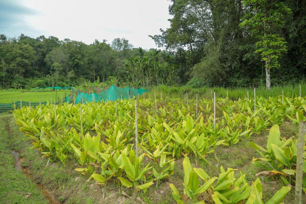 The Woods Resorts Wayanad Sultan Bathery Luaran gambar