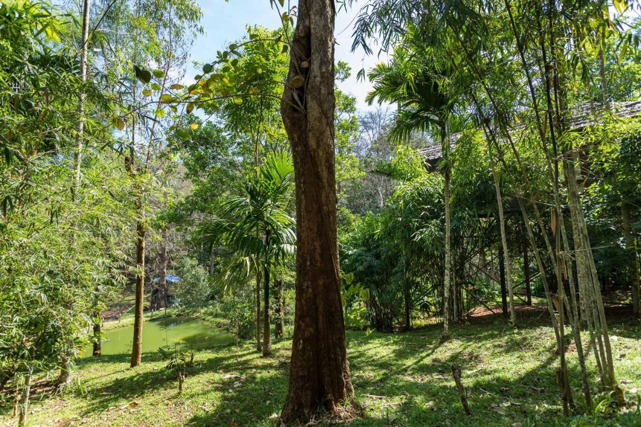 The Woods Resorts Wayanad Sultan Bathery Luaran gambar